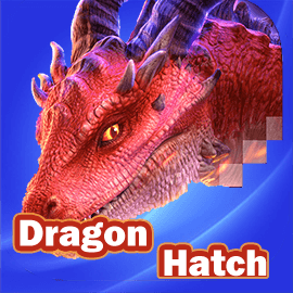 Dragon Hatch